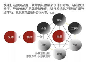 孙巍 喜茶,凭什么值90亿