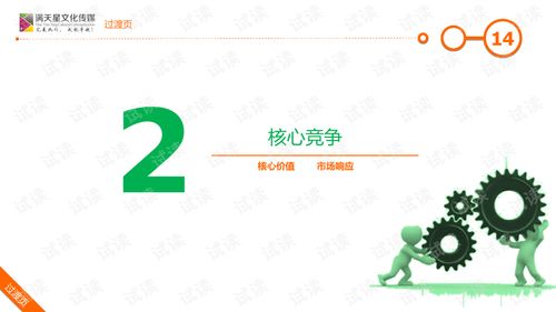 大米姐品牌营销策划案商业计划书精品模板.ppt